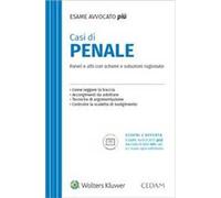 Casi Di Penale. Per L'Esame Di Avvocato - - 2023
