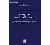 Casi forensi di diritto civile e penale. Norme e questioni giuridiche per la redazione dei pareri per la preparazione all'esame di avvocato