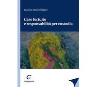 Caso fortuito e responsabilità per custodia