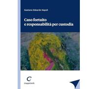 Caso Fortuito E Responsabilità Per Custodia - Gaetano Edoardo Napoli - 2023