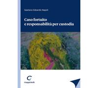 Caso Fortuito E Responsabilità Per Custodia - Gaetano Edoardo Napoli - 2023