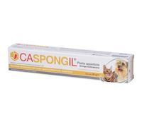 CASPONGIL PASTA 30G