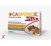 CASPONGIL PLUS 30 COMPRESSE