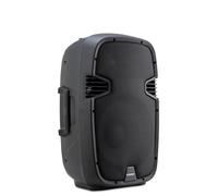 McGrey P212 MA Cassa Attiva - FM/USB/SD/Bluetooth® MP3-Player - 120 W RMS / 600 W Peak - Sistema a 2 vie con woofer da 12" e tweeter da 1" - Custodia in plastica ABS - Nero
