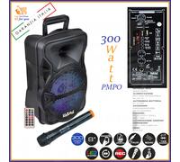 Cassa amplificata bluetooth portatile karaoke professionale attiva con microfono