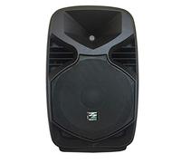 Cassa attiva amplificata diffusore (200 Watt, subwoofer da 25 CM, XLR, RCA, ABS, MIC IN)