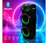 Cassa Bluetooth 450W 2 microfono wireless USB TF radio FM luci RGB