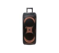 Party speaker Flame T88
