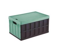 Cassa Cargo con Coperchio Capacità 46 Litri Colore Nero e Verde Salvia