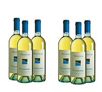 Cassa da 6 bottiglie di Vermentino Costamolino cl.75