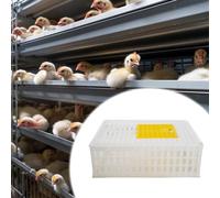 Cassa di pollo per trasporto di pollame in cassa per cassa per il piccione