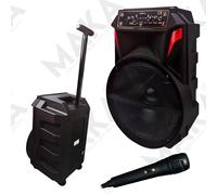cassa portatile bluetooth ricaricabile trolley amplificata radio USB microfono