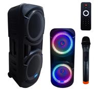 cassa portatile bluetooth ricaricabile trolley amplificata radio USB microfono