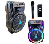 cassa portatile bluetooth ricaricabile trolley amplificata radio USB microfono