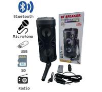 Cassa Speaker Acustica Amplificata Watt Bluetooth Trolley Karaoke Microfono USB