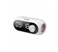 CASSA WIRELESS BLAUPUNKT BLP2250W 10 W
