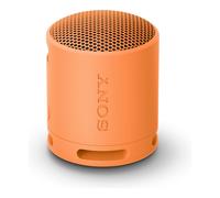 CASSA BLUETOOTH SONY SRSXB100D