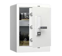 Cassaforte e Armadietto di Lusso RPNB, Cassaforte con Impronte Digitali Biometriche con Touch Screen, Comandi Vocali, Doppio Avviso, Sblocco con un Tocco, Perfetta per Casa, Hotel, Ufficio, 80L, Bianc