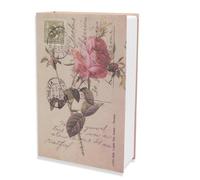 Cassaforte per libri Diversion con lucchetto a combinazione, Cassetta di sicurezza segreta in metallo per la deviazione del dizionario domestico, 9,6x6,2x2,2 pollici
