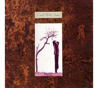 CASSELL WEBB - LLANO LP UK VENTURE 1988