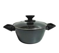 CASSERUOLA COPERCHIO cm 24 EVOLUTION ZANETTI