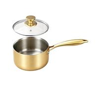 Casseruola per seghe | Padella in acciaio inossidabile con manico lungo 16 centesimi - Casseruola piccola con coperchio - per campeggio, picnic, cortile e all'aperto, ristorante e