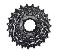 Cassetta a 8 velocità XLC FW-C01 Campagnolo (13-26D) Argenté