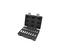 Beta BW 923E-FTX/C17 Set di 17 chiavi a bussola per viti con profilo Torx in cas