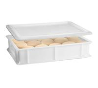 Cassetta con Coperchio portaimpasti palline Pizza Pane panette 60x40x10 certificata per alimenti VASCHETTA DA FRIGO litri 18 professionale impilabile sovrapponibile PIZZERIA CASEIFICI