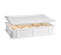 Cassetta con Coperchio portaimpasti palline Pizza Pane panette 60x40x13 certificata per alimenti VASCHETTA DA FRIGO litri 24 professionale impilabile sovrapponibile PIZZERIA CASEIFICI