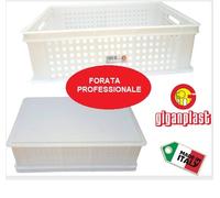 Casseruola Service Forato Filop 60x40x19 Bianco Giganplast