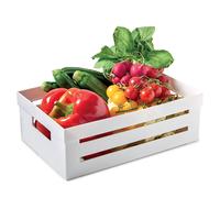 Snips Cassetta Cucina | Organizer Cucina | Cassetta Grande | 5 LT | Colore Bianco | Made in Italy | Bpa Free