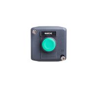 Cassetta di controllo grigio/verde IP65 XALD101 Harmony