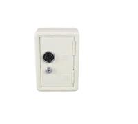Cassetta di sicurezza, Mini cassaforte con serratura doppia combinata for salvadanaio e a chiave, piccola scatola di immagazzinaggio personale(White)