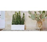 Cassetta fioriera liscia moderna vaso 100x40xh40cm in Resina NO PLASTICA