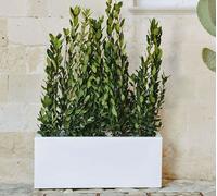 Cassetta fioriera liscia moderna vaso 100x40xh40cm in Resina NO PLASTICA