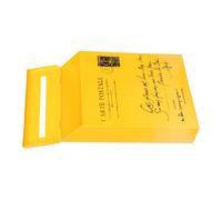 Cassetta Posta Vintage Dei Suggerimenti Ferro Per Postale Metallo