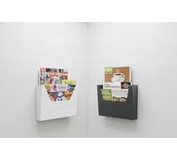 Cassetta Postale Porta Pubblicità per Case e Condomini, Antracite RAL 7021 o Bianco RAL 9016, 34x8x26 cm, Personalizzabile con Targhetta Portanome a scelta