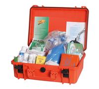 Cassetta pronto soccorso D.M.10/03/22 tab. D - 1 PZ Osculati - 32.916.50