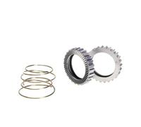 Cassette pignoni e ruote libere per bicicletta Adatto per mozzo per bicicletta DT SWISS 54T Star Ratchet 60T Kit di manutenzione per mozzo per bicicletta Ratchet Sistema ruota L ruota libera(Silver 54