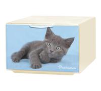 Cassetto in plastica Qbox Deco mini Animals 15,5x10,5x21 cm Fantasia