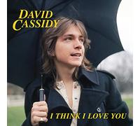 David Cassidy I Think I Love You (Vinyl LP)