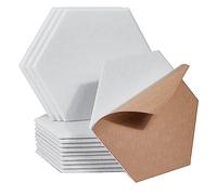 casstaly Confezione da 18 acustici autoadesivi esagonali, 30 x 25 x 1 cm, per studio di registrazione, ufficio, casa,