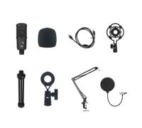 casstaly Microfono USB da gioco Microfono a condensatore con cancellazione del rumore per PC Podcast Microfono con staffa A