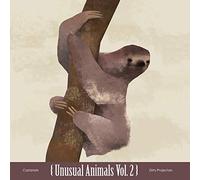 Castanets/Dirty Projectors - Vol. 2-Unusual Animals