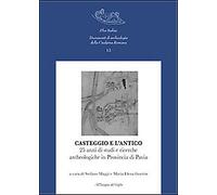 Casteggio e l'antico. 25 anni di studi e ricerche archeologiche in provincia di