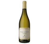 Castel del Monte DOC Sauvignon Terre al Monte Rivera 2024, 0,75 ℓ