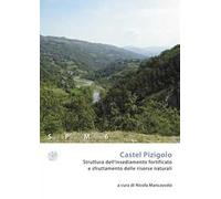 Castel Pizigolo. Struttura dell’insediamento fortificato e sfruttamento delle risorse naturali. Nuova ediz.