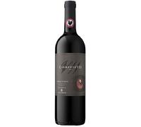 Castelli del Grevepesa - Chianti Classico Riserva DOCG Clemente VII