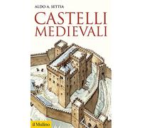 Castelli medievali